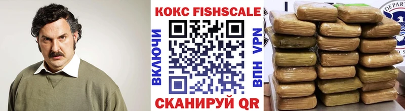 ссылка на мегу маркетплейс  Чебоксары  Кокаин FishScale 
