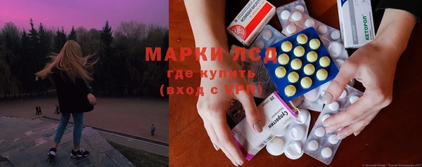 стафф Бородино