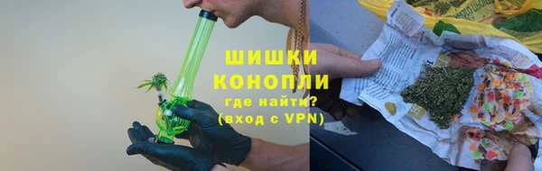 стафф Бородино